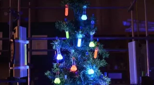 If there is any reason why I want to spend Christmas, it must be that I want to be a fluorescent Christmas tree.