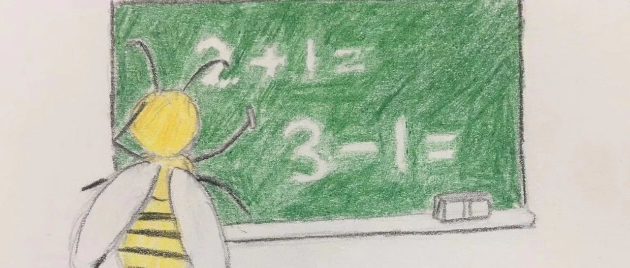 How good is the math of bees? They've learned to add and subtract.