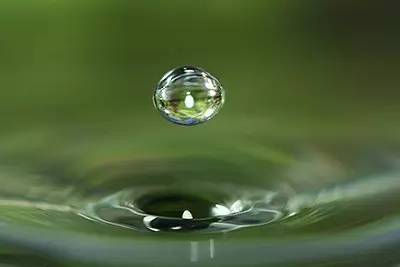A drop of water takes you into the microcosm.