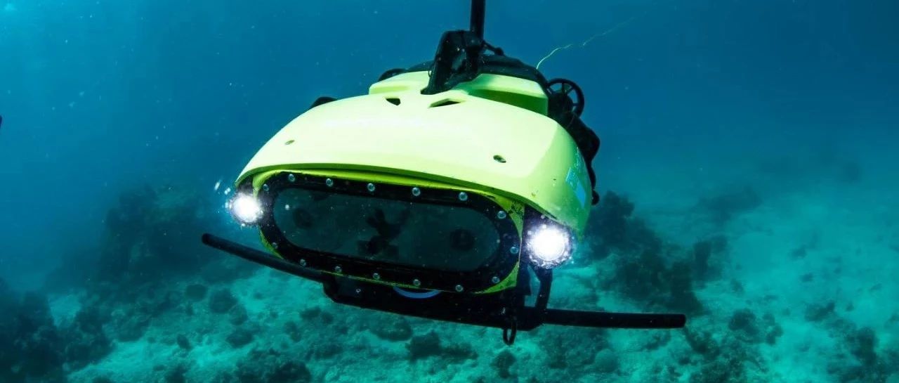 How to repair corals? Scientists have sent out "sowing robots"