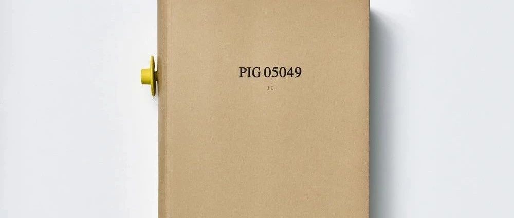 A pig died, and it became 185 goods and a book.