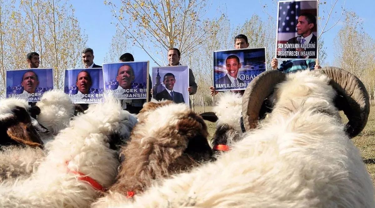 Obama's face can be recognized by sheep.