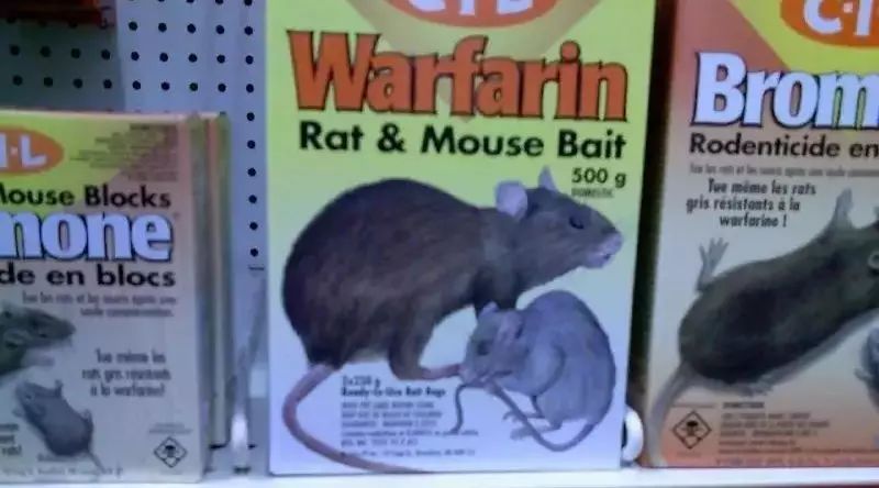 What, there's rat medicine in a human pharmacy?