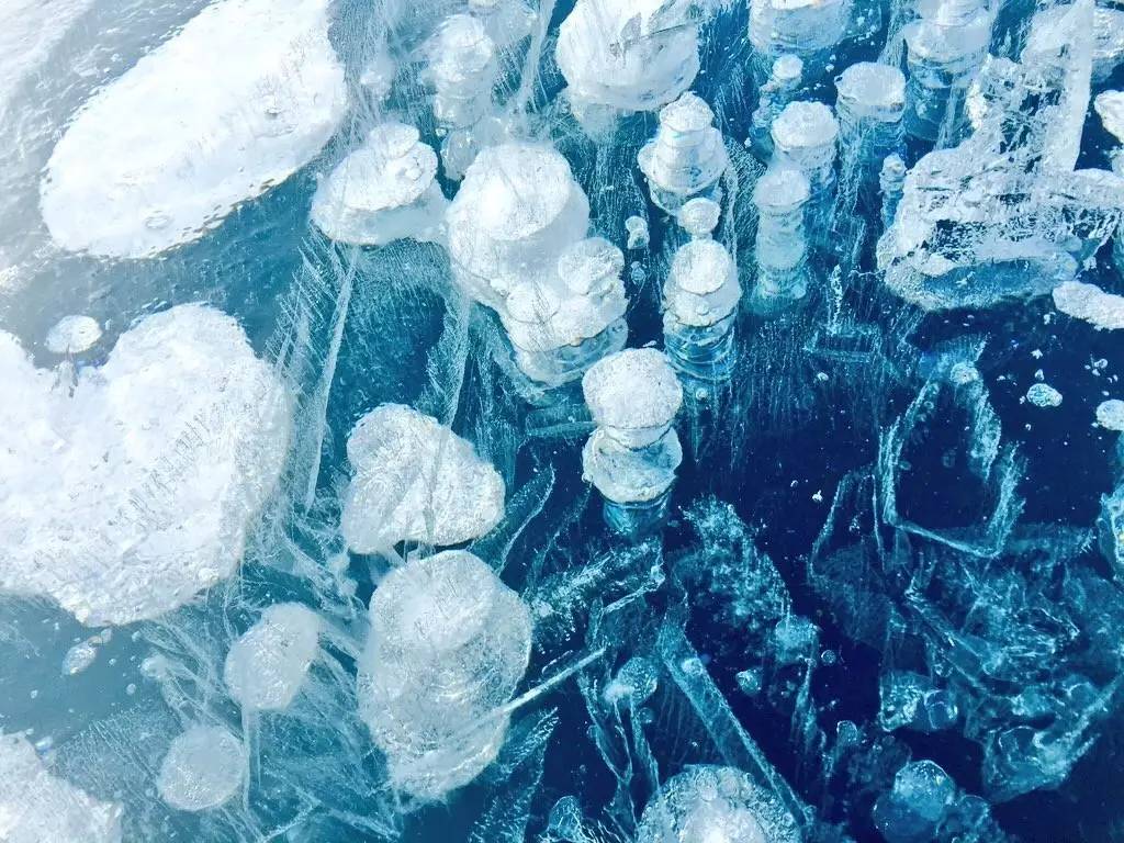 Methane bubbles are frozen under the frozen lake
